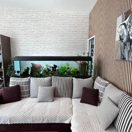 Maison De 102m² Sur Terrain Clos Terrasse Jacuzzi Le Tour-du-Parc